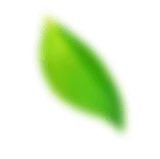 shape